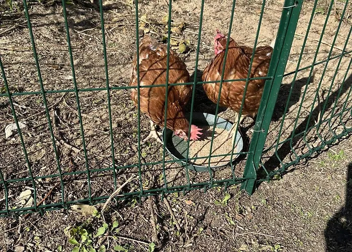 La Taniere De Lise بيت للعطل *